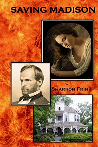 Stock image for Saving Madison: : A Civil Affair for sale by THE SAINT BOOKSTORE