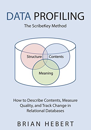 9781499306347: Data Profiling: The ScribeKey Method