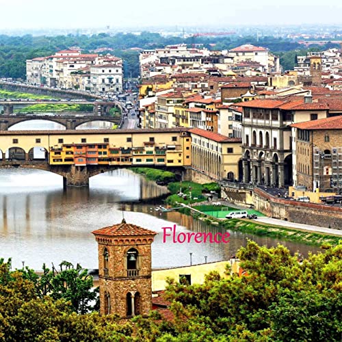 Stock image for Florence Florence In Pictures for sale by PBShop.store US