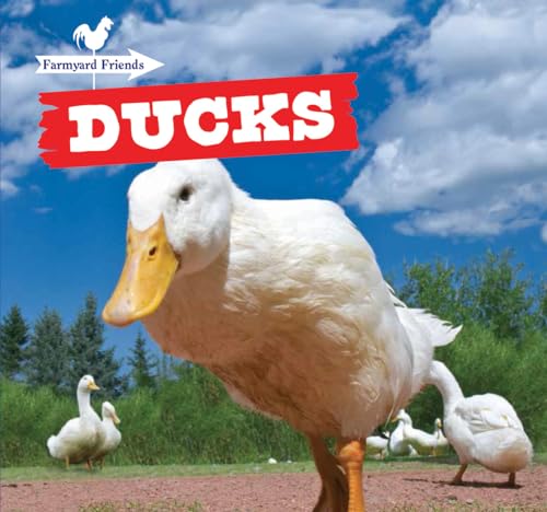 Stock image for Ducks (Farmyard Friends) for sale by Irish Booksellers