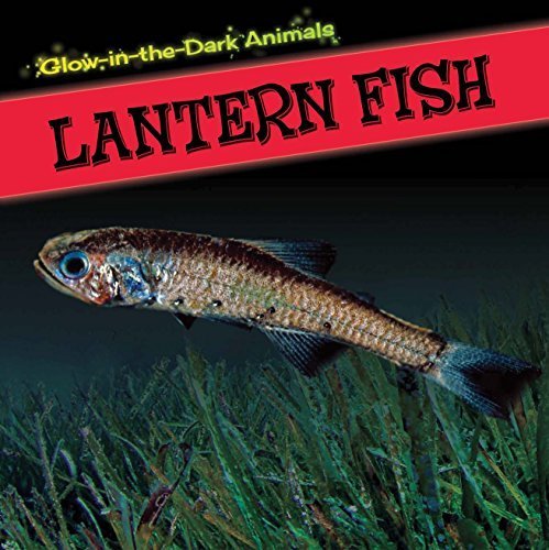 9781499401493: Lantern Fish (Glow-in-the-dark Animals)