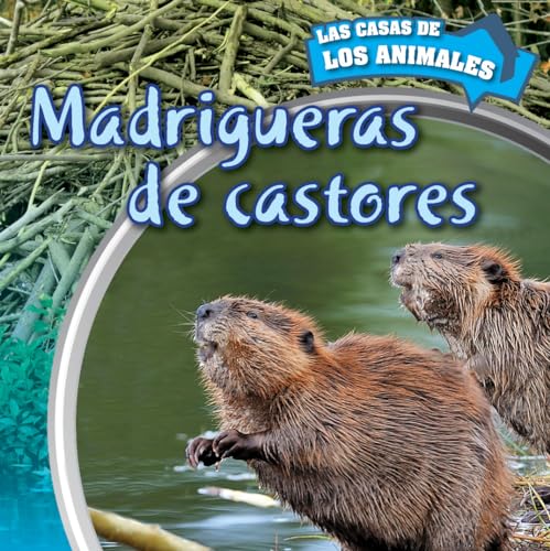 9781499405699: Madrigueras de Castores (Inside Beaver Lodges) (Las Casas De Los Animales / Inside Animal Homes)