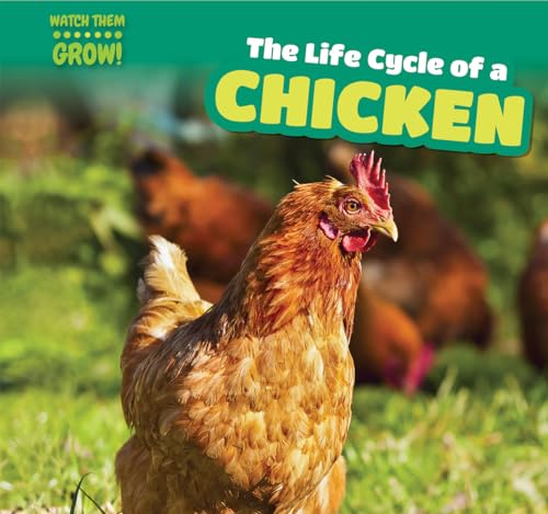 Stock image for The Life Cycle of a Chicken (Watch Them Grow!) for sale by Book Deals