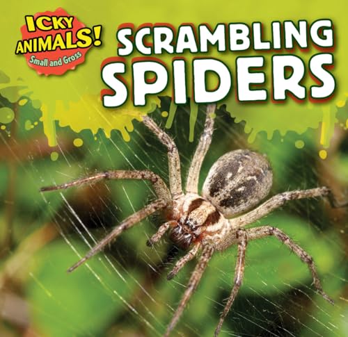 9781499407174: Scrambling Spiders (Icky Animals! Small and Gross)