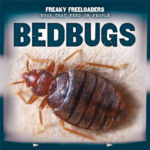 Stock image for Bedbugs for sale by Better World Books