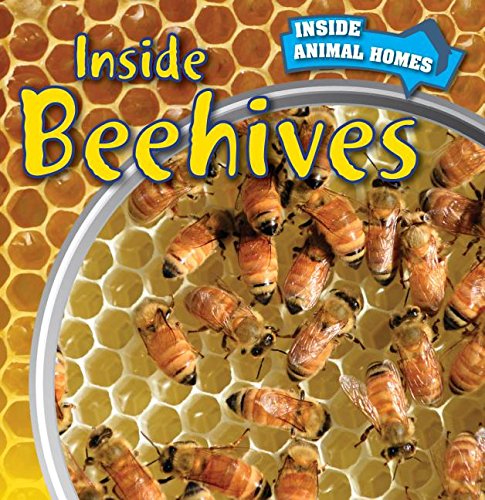 Imagen de archivo de Inside Beehives a la venta por ThriftBooks-Dallas