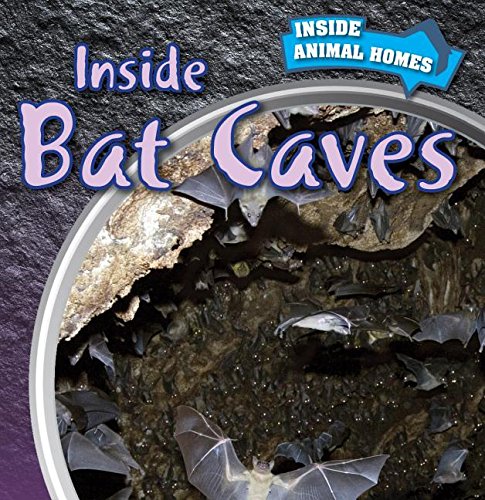 9781499409130: Inside Bat Caves (Inside Animal Homes)