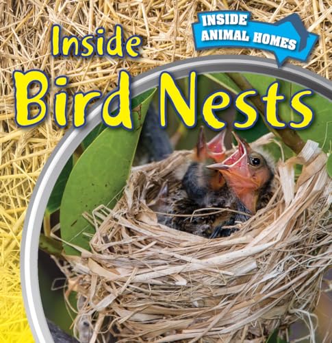 Beispielbild fr Inside Bird Nests zum Verkauf von Better World Books