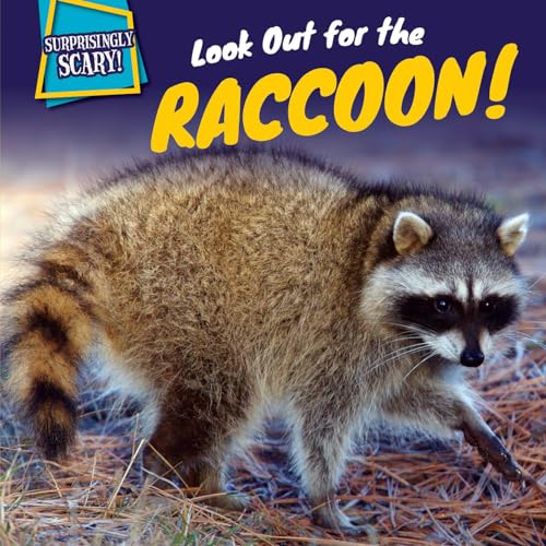 Stock image for Look Out for the Raccoon! for sale by Better World Books: West