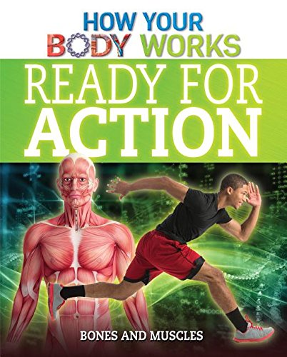 9781499412444: Ready for Action: Bones and Muscles (How Your Body Works, 5)