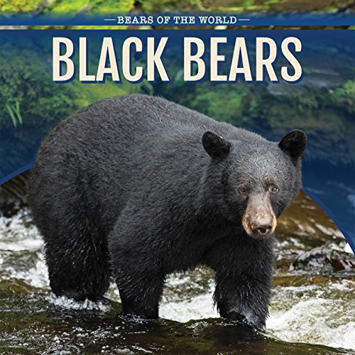 Beispielbild fr Black Bears zum Verkauf von Better World Books