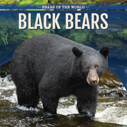 Stock image for Black Bears for sale by Better World Books