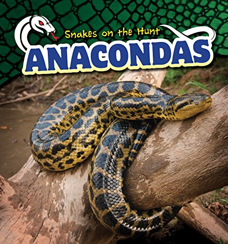 9781499421903: Anacondas (Snakes on the Hunt)