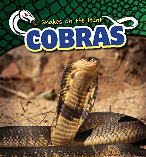 Imagen de archivo de Cobras (Snakes on the Hunt) a la venta por GF Books, Inc.