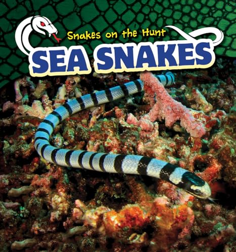 Imagen de archivo de Sea Snakes (Snakes on the Hunt) a la venta por Books Unplugged