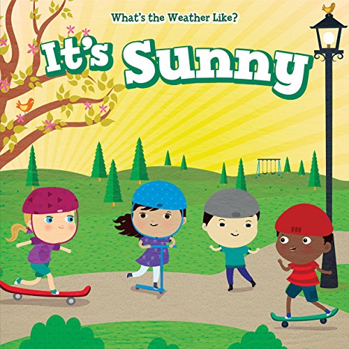Imagen de archivo de It's Sunny (What's the Weather Like?) a la venta por Books Unplugged