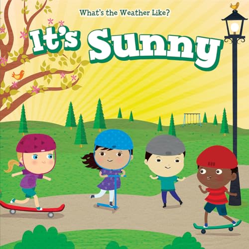 Imagen de archivo de It's Sunny (What's the Weather Like?) a la venta por Irish Booksellers