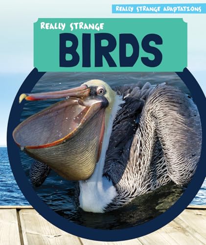 Stock image for Really Strange Birds for sale by Better World Books: West