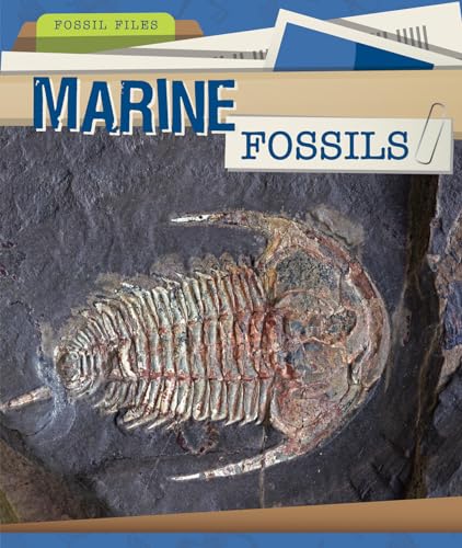 9781499428568: Marine Fossils (Fossil Files)