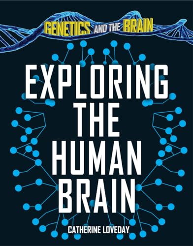 Stock image for Exploring the Human Brain for sale by Better World Books