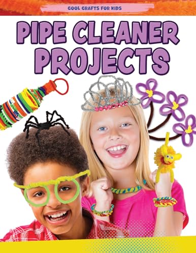 Stock image for Pipe Cleaner Projects (Cool Crafts for Kids) for sale by GF Books, Inc.