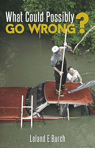 Imagen de archivo de What Could Possibly Go Wrong? a la venta por Lucky's Textbooks