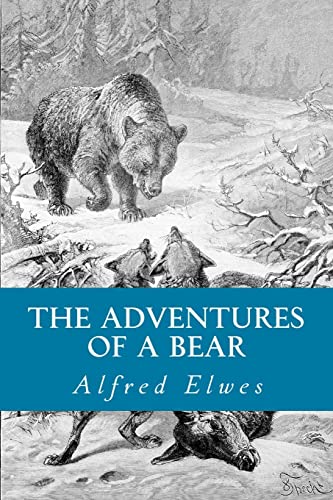 Imagen de archivo de The Adventures of a Bear a la venta por THE SAINT BOOKSTORE