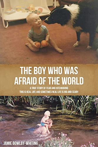 Beispielbild fr The Boy Who Was Afraid of the World zum Verkauf von WorldofBooks