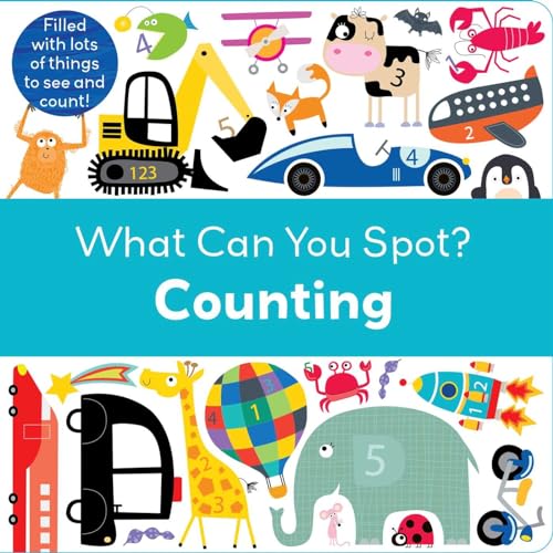 9781499802696: Counting (What Can You Spot?)