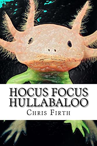 Stock image for Hocus Focus Hullabaloo: Strange and Fantastical Myths and Tales for sale by THE SAINT BOOKSTORE