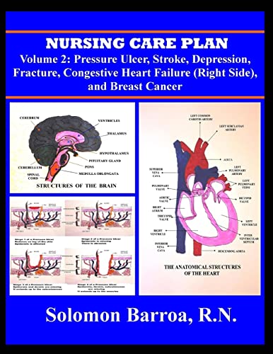 Stock image for Nursing Care Plan for sale by THE SAINT BOOKSTORE