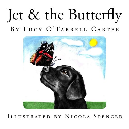 9781500224233: Jet & the Butterfly