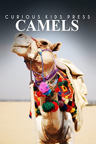 Beispielbild fr Camels - Curious Kids Press: Kids book about animals and wildlife, Children's books 4-6 zum Verkauf von ThriftBooks-Dallas