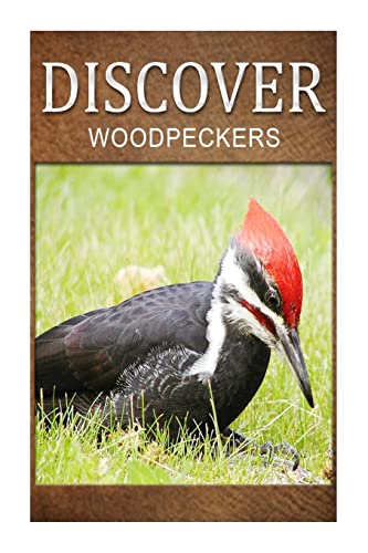 Imagen de archivo de Woodpeckers - Discover: Early reader's wildlife photography book a la venta por Lucky's Textbooks