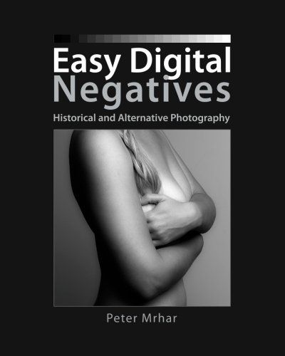 Beispielbild fr Easy Digital Negatives: Historical and Alternative Photography zum Verkauf von Ergodebooks