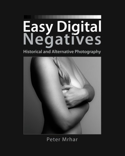 9781500273699: Easy Digital Negatives: Historical and Alternative Photography