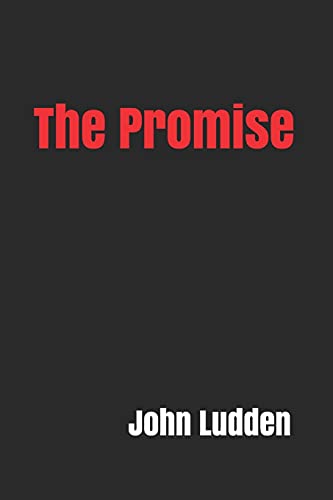 Stock image for The Promise for sale by WorldofBooks