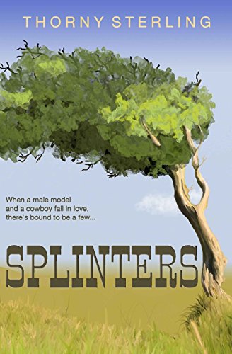 9781500378554: Splinters