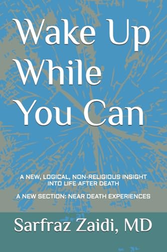 Beispielbild fr Wake Up While You Can: A New, Logical, Non-religious Insight Into Life After Death zum Verkauf von St Vincent de Paul of Lane County