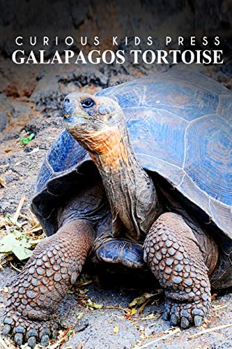 Beispielbild fr Galapagos Tortoise - Curious Kids Press: Kids book about animals and wildlife, Children's books 4-6 zum Verkauf von SecondSale