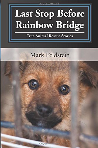 Stock image for Last Stop Before Rainbow Bridge: Inspiring Stories of True Animal Rescues for sale by medimops