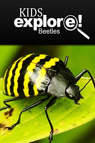 Imagen de archivo de Beetles - Kids Explore: Animal books nonfiction - books ages 5-6 a la venta por Save With Sam