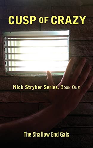 Stock image for Cusp of Crazy: Nick Stryker Series, Book One for sale by ALLBOOKS1