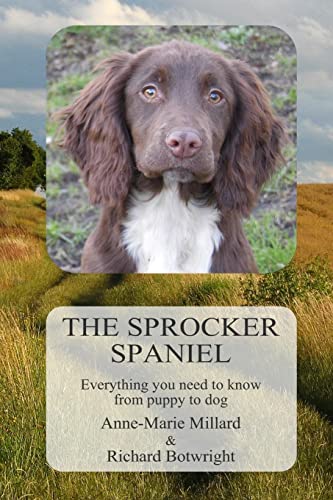 Beispielbild fr The Sprocker Spaniel: Everything you need to know from puppy to dog zum Verkauf von WorldofBooks