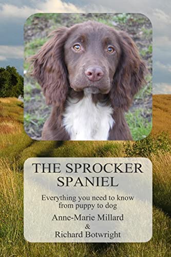 Stock image for The Sprocker Spaniel: Everything you need to know from puppy to dog for sale by WorldofBooks