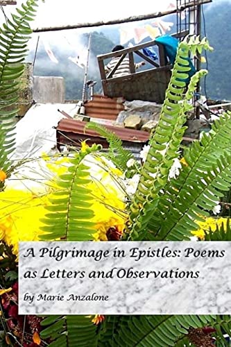 Stock image for A Pilgrimage in Epistles: : Poems as Letters and Observations for sale by THE SAINT BOOKSTORE