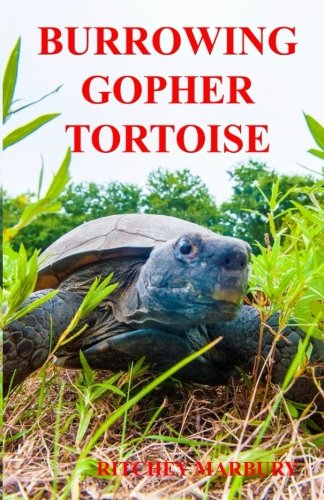 9781500707545: Burrowing Gopher Tortoise