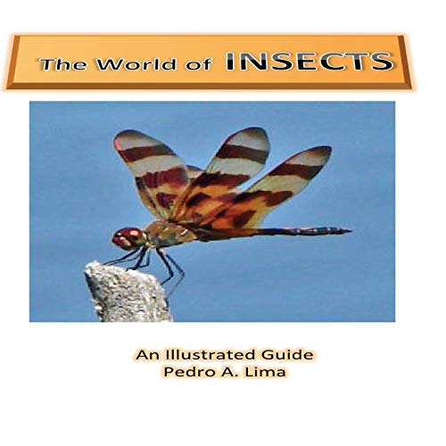 Stock image for The World of Insects: an illustrated guide for sale by THE SAINT BOOKSTORE
