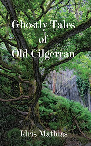 9781500774851: Ghostly Tales of Old Cilgerran