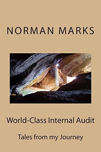 Beispielbild fr World-Class Internal Audit: Tales from my Journey zum Verkauf von More Than Words